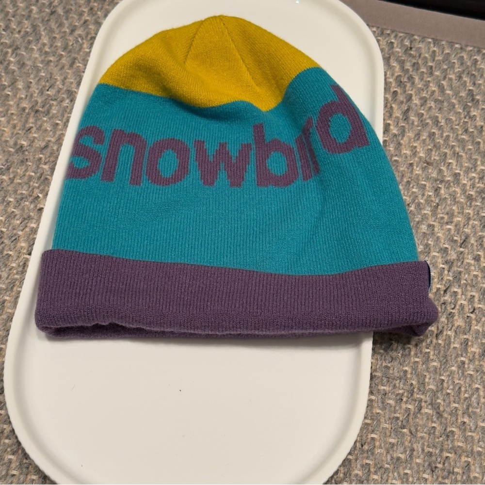 Snowbird Utah Winter Resort Purple, Yellow & Turquoise Stripe Beanie Unisex